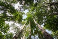 Pure nature at Umphang Wildlife Sanctuary,Tak Province,northwestern Thailand Royalty Free Stock Photo